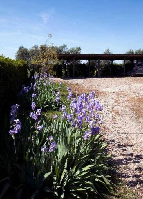 Agriturismo Podere Santa Virginia Albinia Εξωτερικό φωτογραφία