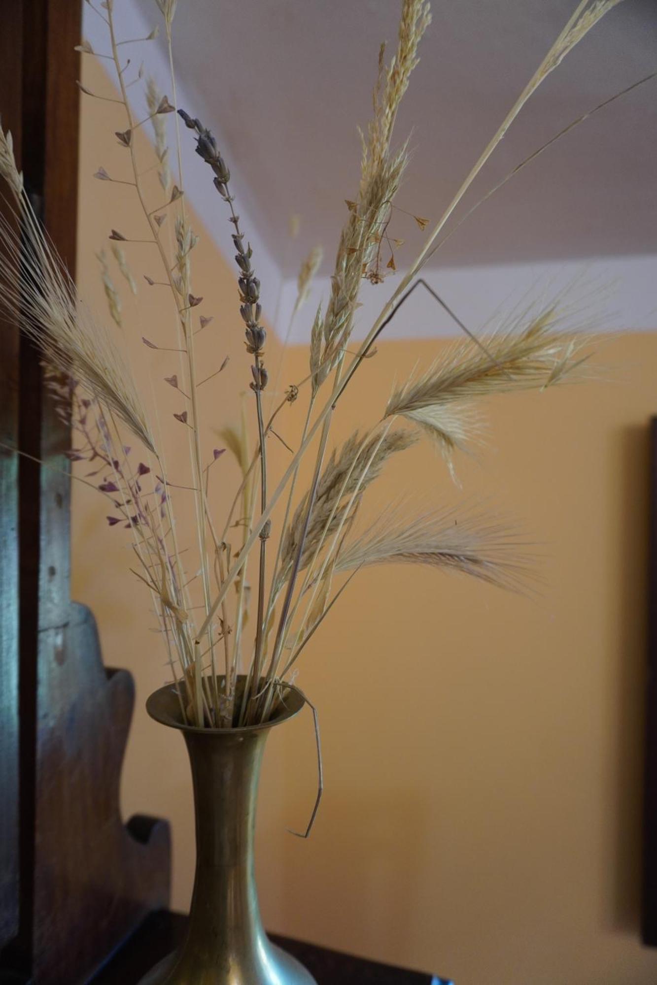 Agriturismo Podere Santa Virginia Albinia Εξωτερικό φωτογραφία